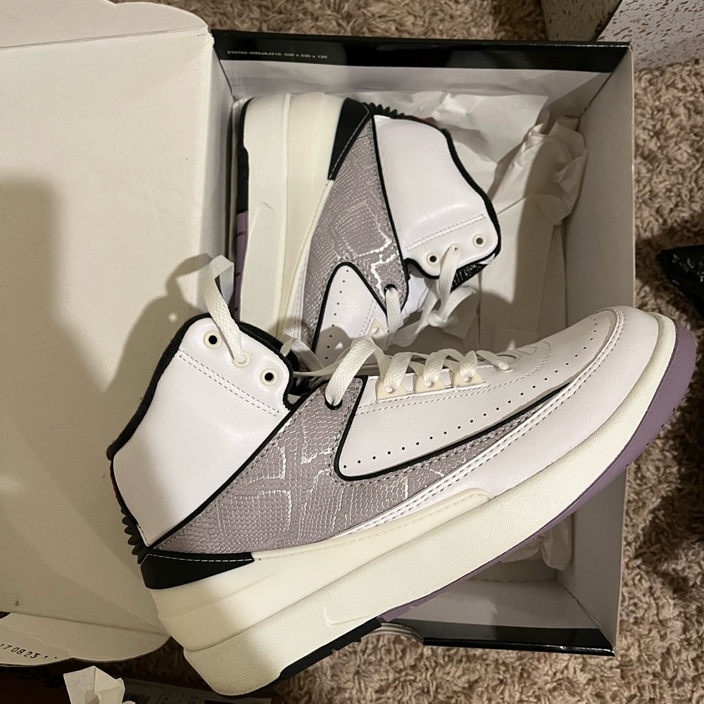 Air Jordan 2 retro